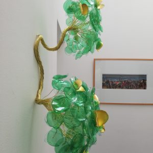 GREINDL Tamara (36)