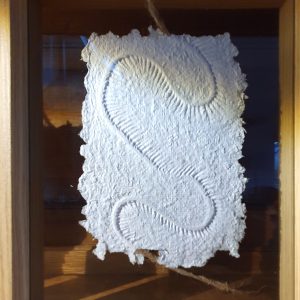 PICCININNO Carmela (26)